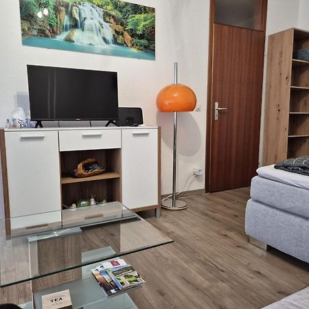 סאסבאכוואלדן Wasserfaelle Apartments מראה חיצוני תמונה