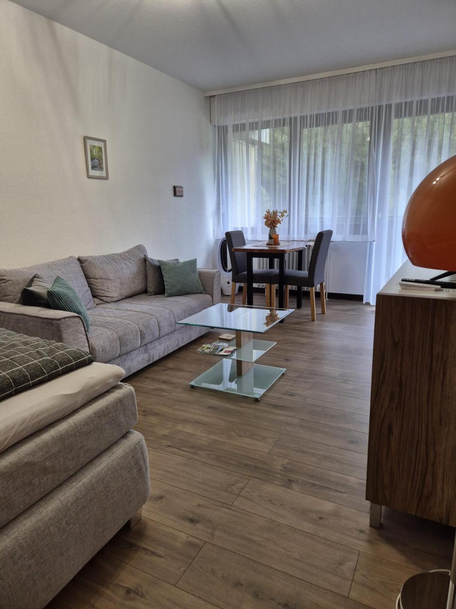 סאסבאכוואלדן Wasserfaelle Apartments מראה חיצוני תמונה