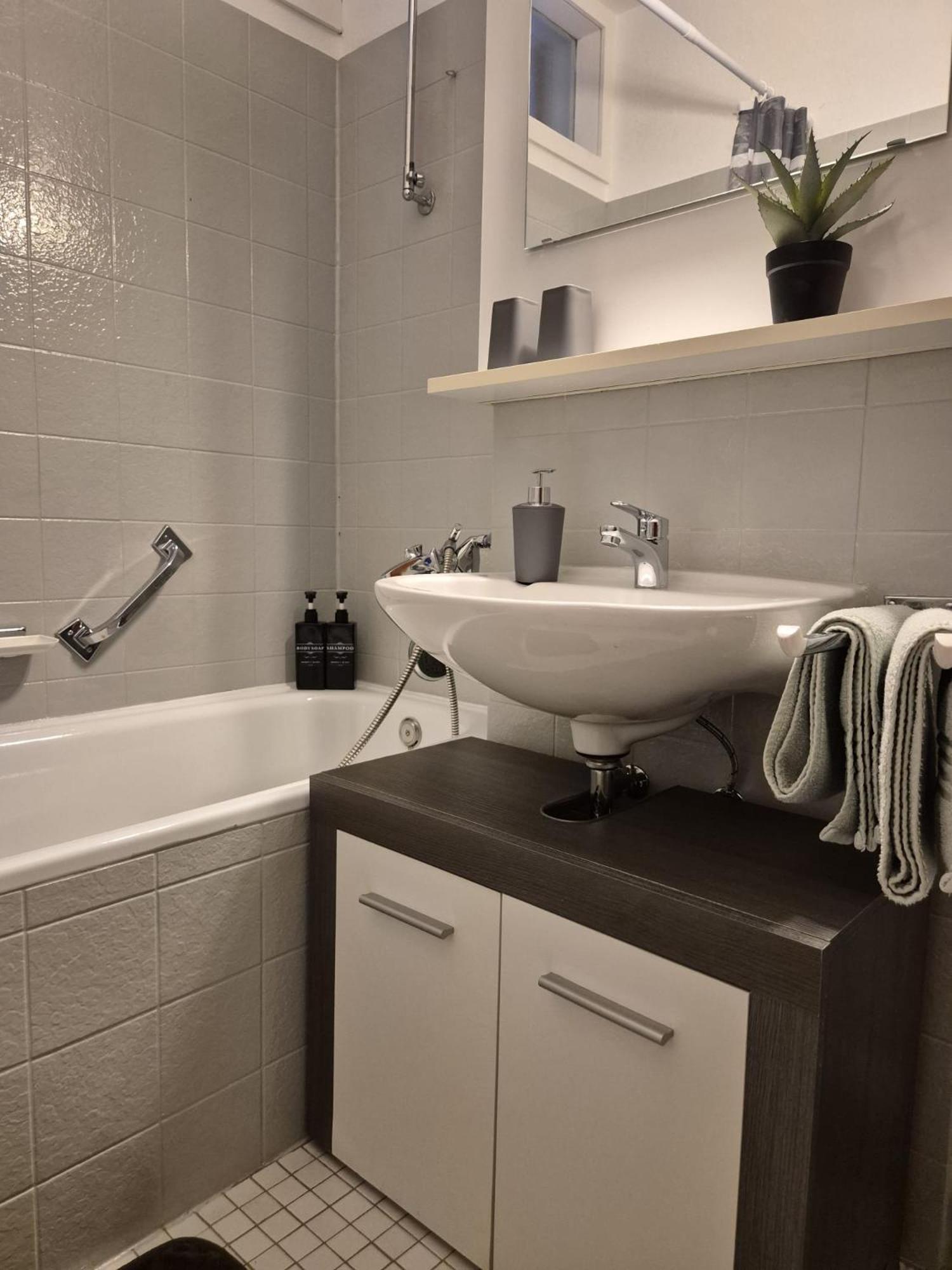 סאסבאכוואלדן Wasserfaelle Apartments מראה חיצוני תמונה