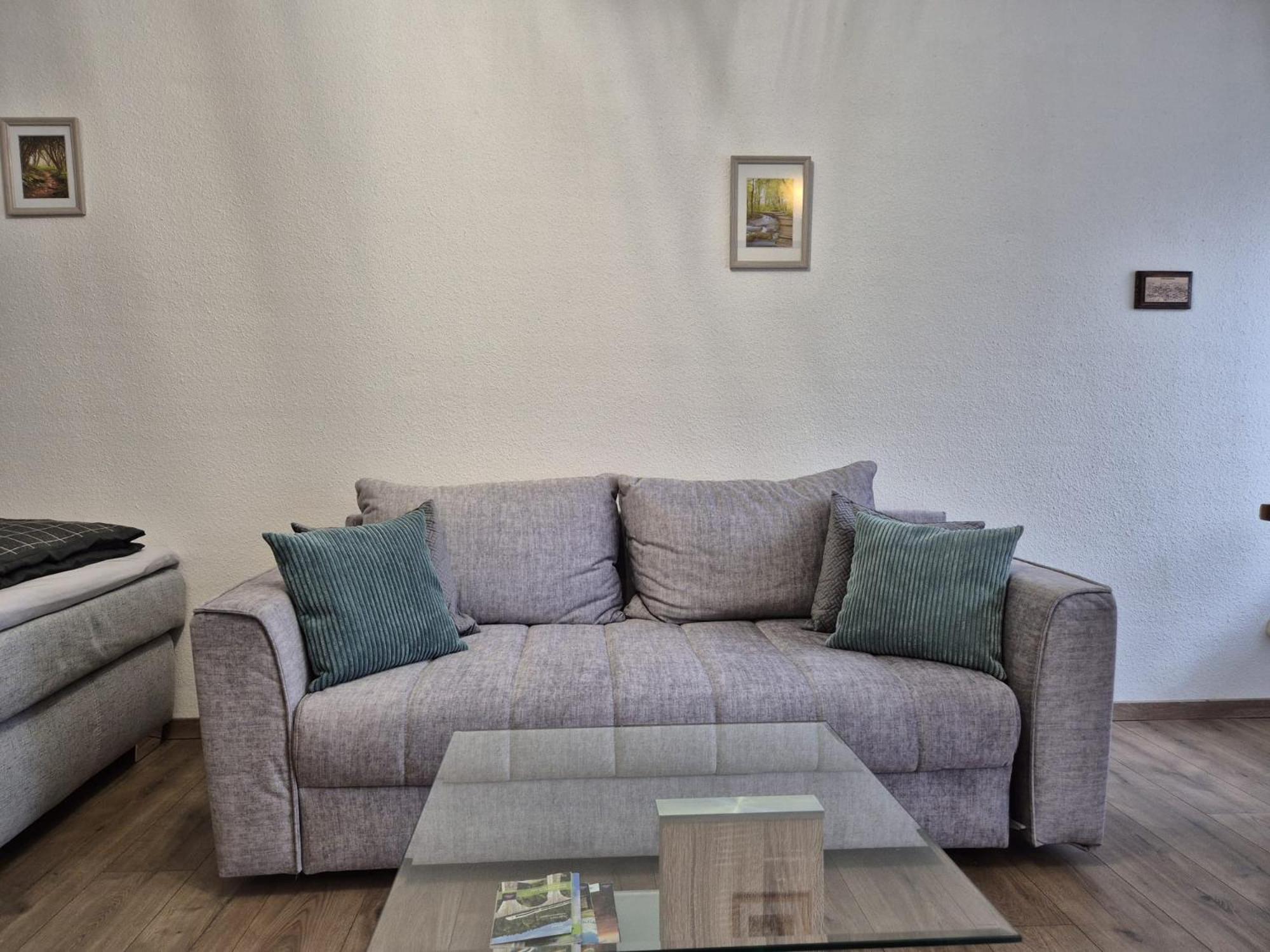 סאסבאכוואלדן Wasserfaelle Apartments חדר תמונה